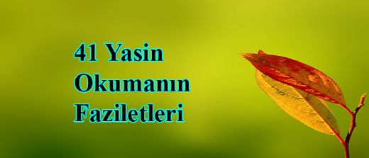 41 Yasin Okumanın Faydaları Nelerdir?