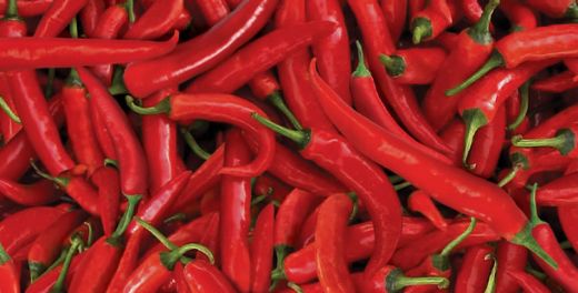 Acının Faydaları Nelerdir?