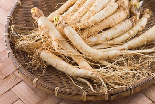 Ginseng Faydalar