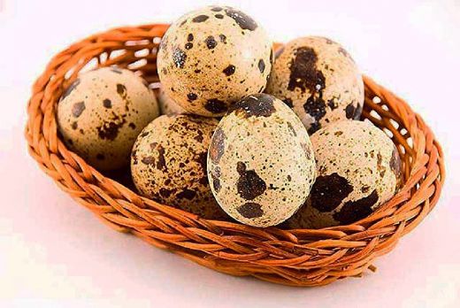 Güvercin Yumurtasının Faydaları Nelerdir?