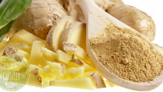 Taze Zencefilin Faydaları Nelerdir?